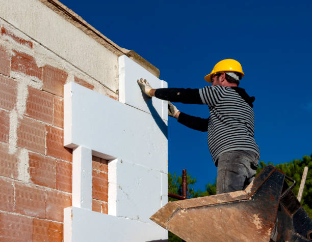 Best Attic Insulation Installation  in Wonder Lake, IL